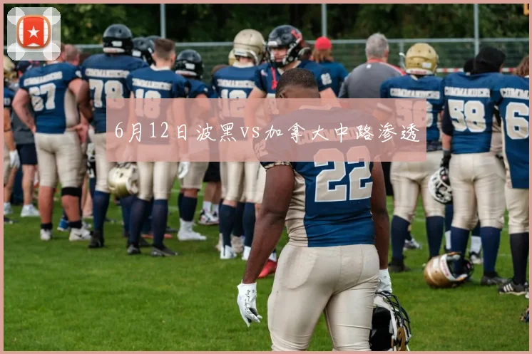 6月12日波黑vs加拿大中路渗透