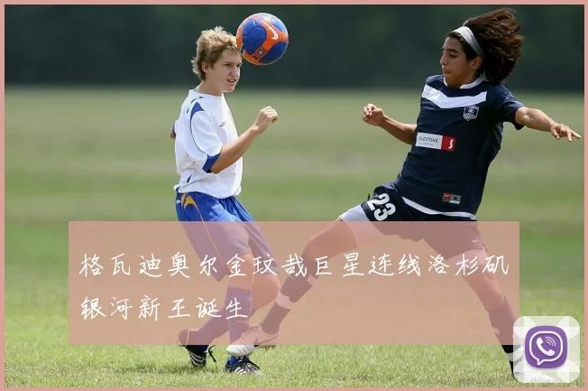 格瓦迪奥尔金玟哉巨星连线洛杉矶银河新王诞生