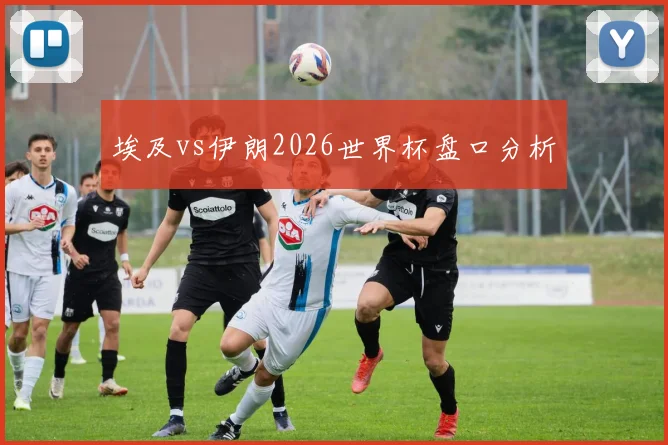 埃及vs伊朗2026世界杯盘口分析