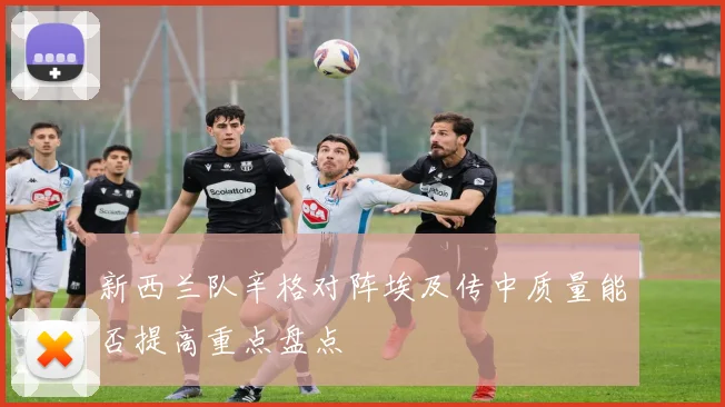 新西兰队辛格对阵埃及传中质量能否提高重点盘点
