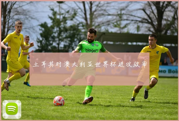 土耳其对澳大利亚世界杯进攻效率