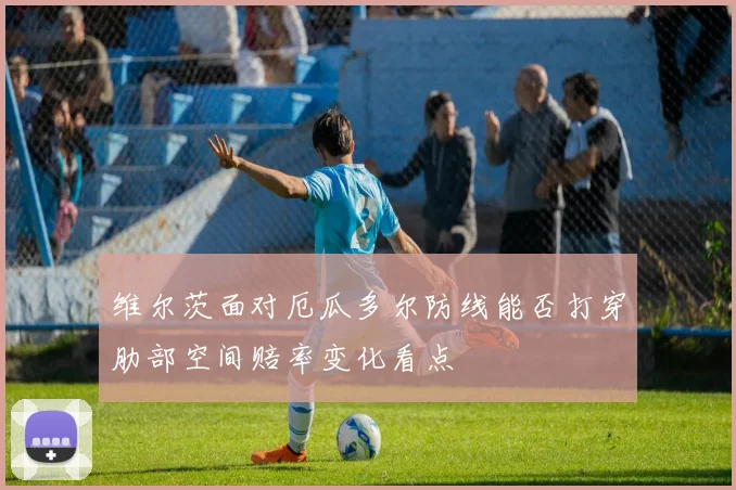维尔茨面对厄瓜多尔防线能否打穿肋部空间赔率变化看点