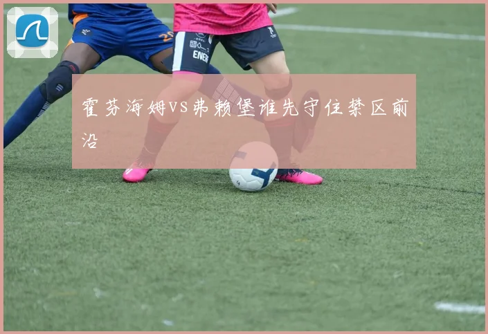 霍芬海姆vs弗赖堡谁先守住禁区前沿