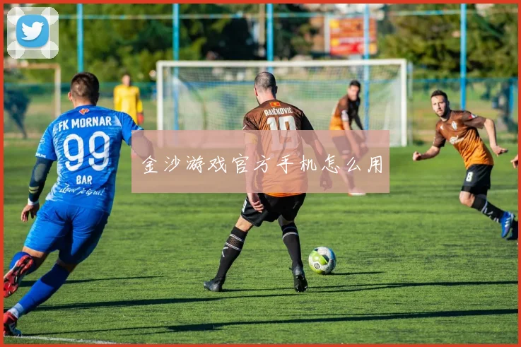 金沙游戏官方手机怎么用